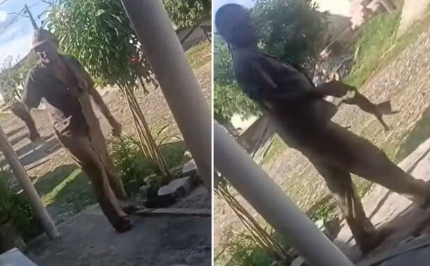 captura de tela 2025 03 11 105449