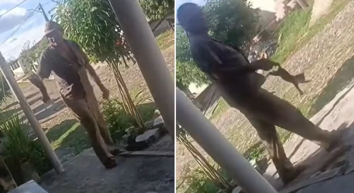 captura de tela 2025 03 11 105449