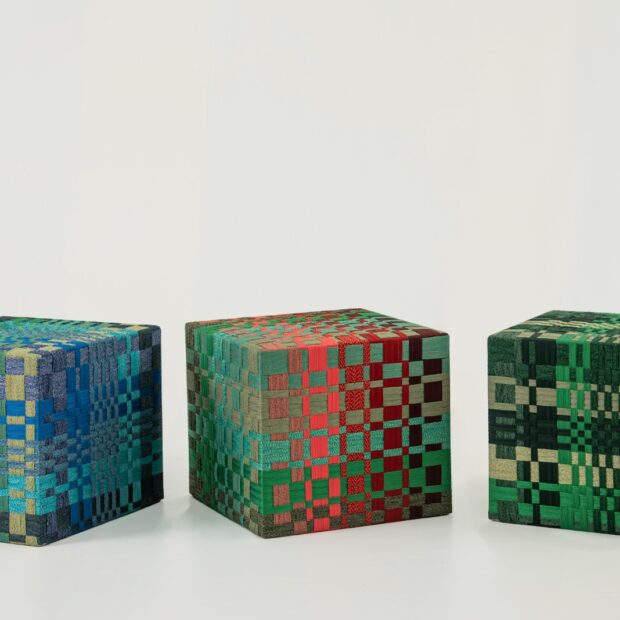 whatsapp image 2025 03 11 at 11.10.45 (2)