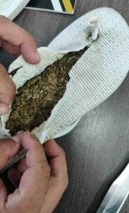 captura de tela 2025 03 11 115002 1