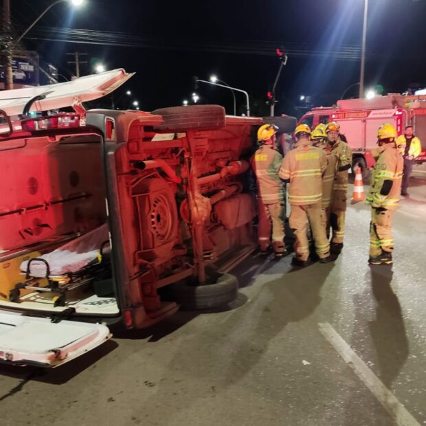 whatsapp image 2025 03 12 at 02.40.17