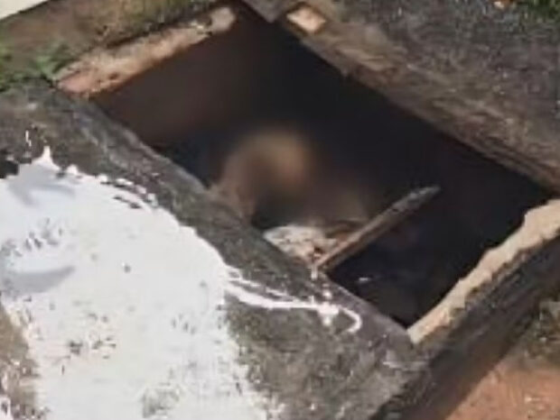 captura de tela 2025 03 12 100237