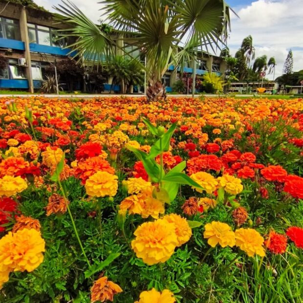 foto kiko paz novacap 3 864x1536