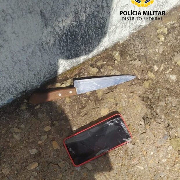 celular