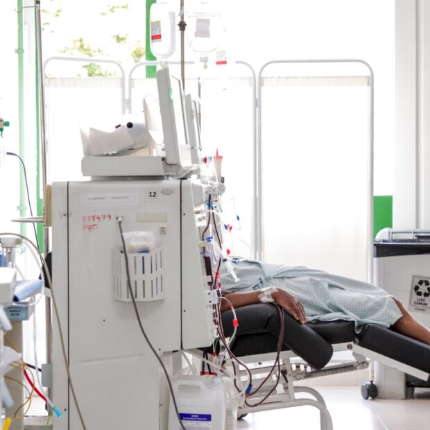 whatsapp image 2025 03 12 at 14.19.07