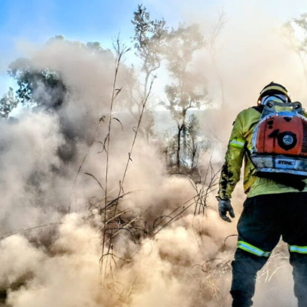 emergencia ambiental incendio florestal
