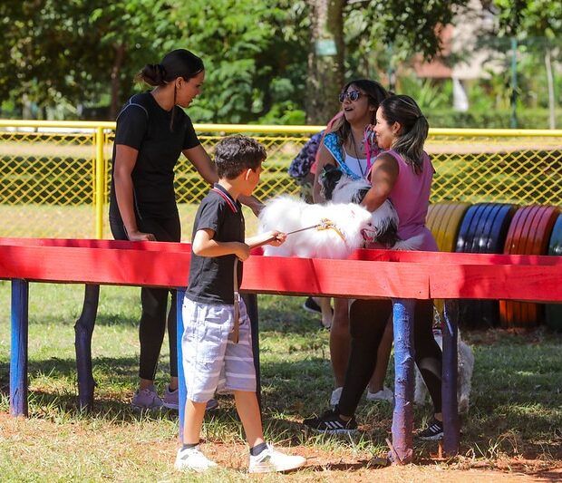 whatsapp image 2025 03 14 at 10.58.21 1