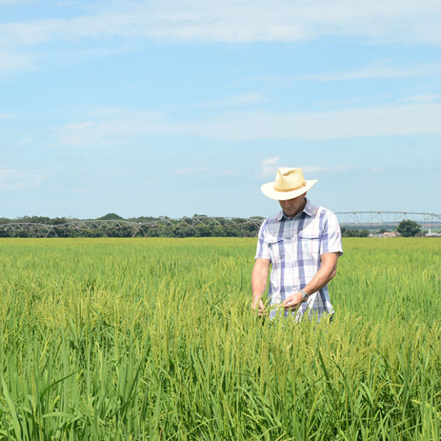 a13.3. materia adasa. sebastiao araujo