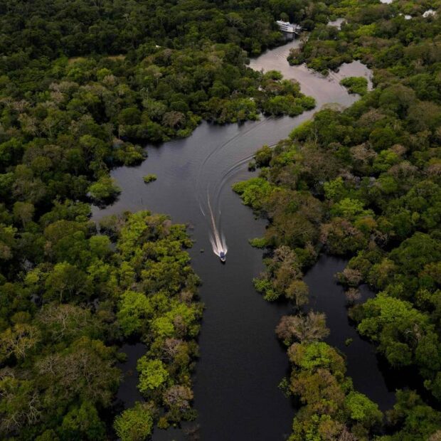 amazonas
