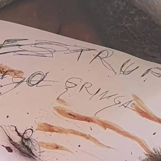 174200037767d4d0f9cd7e5 1742000377 3x2 xl