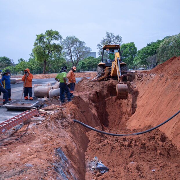 galeria pluvial samambaia