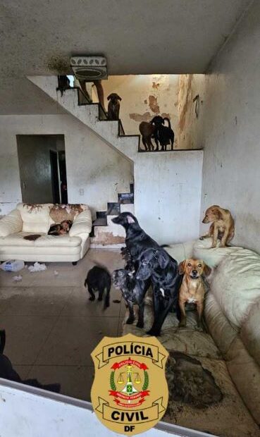 photo 2025 03 19 11 03 10