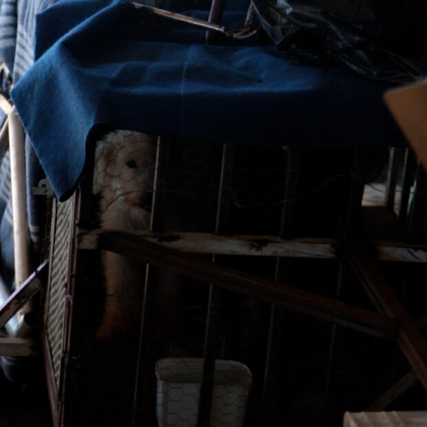 19.3. acolhimento. foto divulgacao df legal4