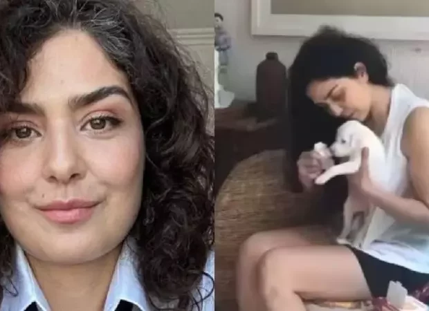 Atriz acusa veterinária e ativista de separarem seus pets sem aviso, mas a profissional alega que os bichinhos estavam sofrendo maus tratos.