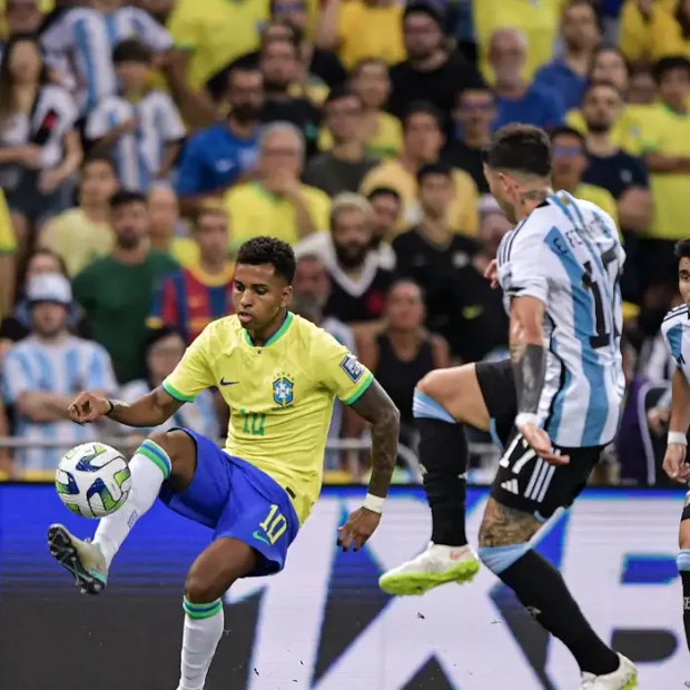 53347766306 790eabe272 o