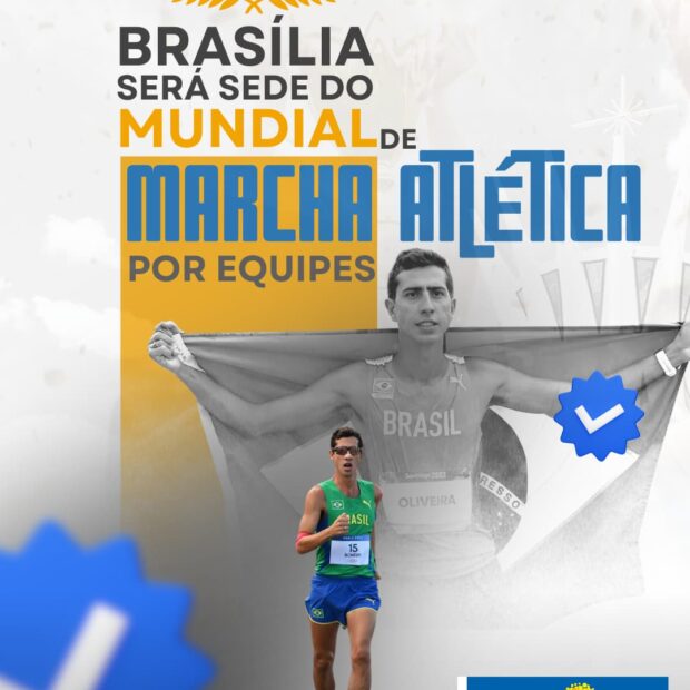 25.3. materia sel df