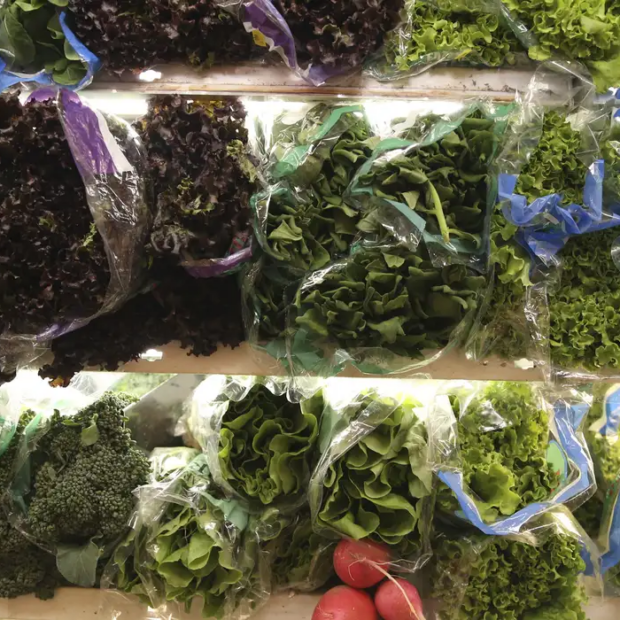 alimentação frança