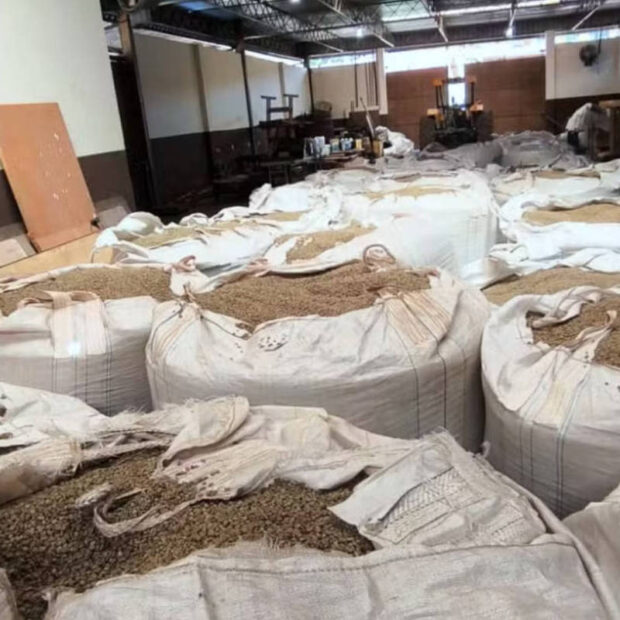 whatsapp image 2025 03 26 at 06.41.56