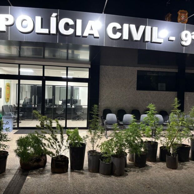 photo 2025 03 26 11 23 18