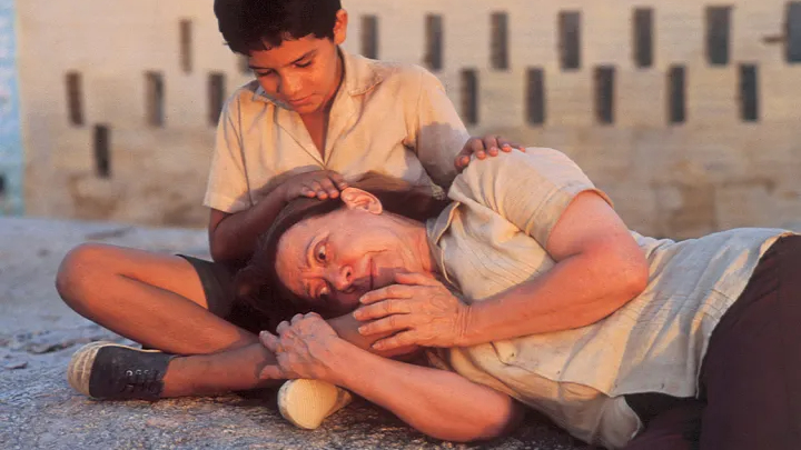 central do brasil fernanda montenegro