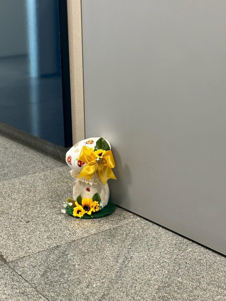 imagem do whatsapp de 2025 03 26 à(s) 17.04.16 ac6bc20c