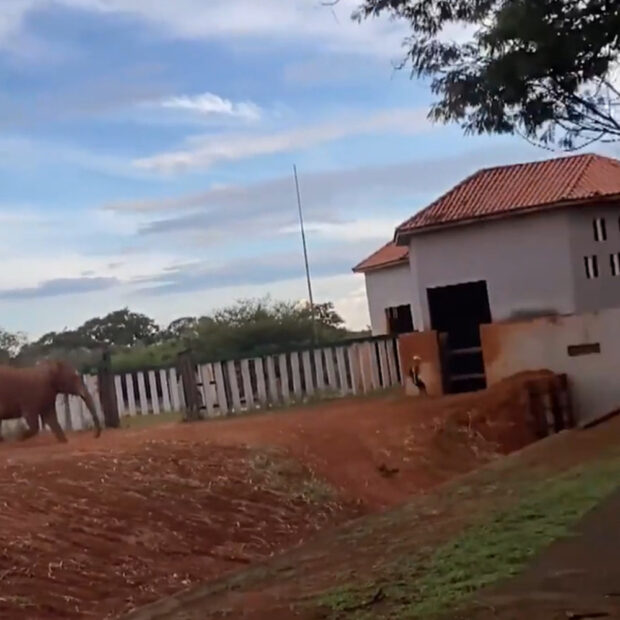 captura de tela 2025 03 27 091835 (3)