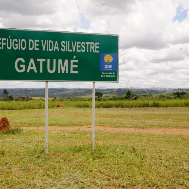 whatsapp image 2025 03 31 at 12.26.32