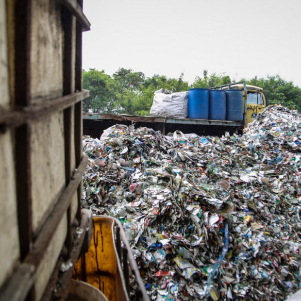 1 whatsapp image 2025 03 31 at 17 41 21 3 35664922