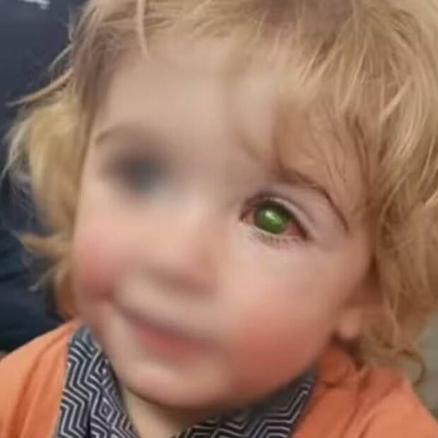 whatsapp image 2025 04 01 at 07.41.17