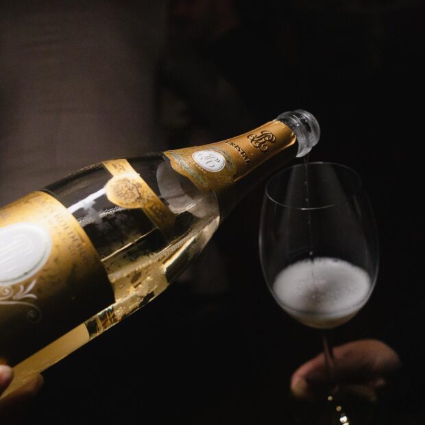 whatsapp image 2025 04 01 at 08.35.32