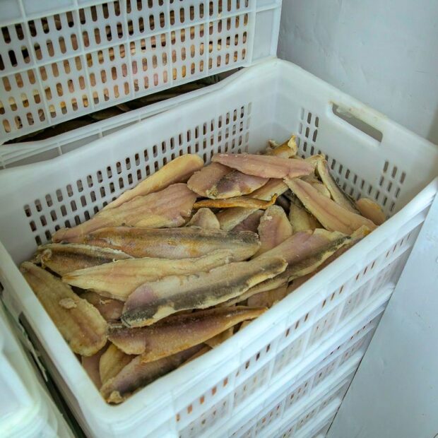 photo 2025 04 03 10 46 36