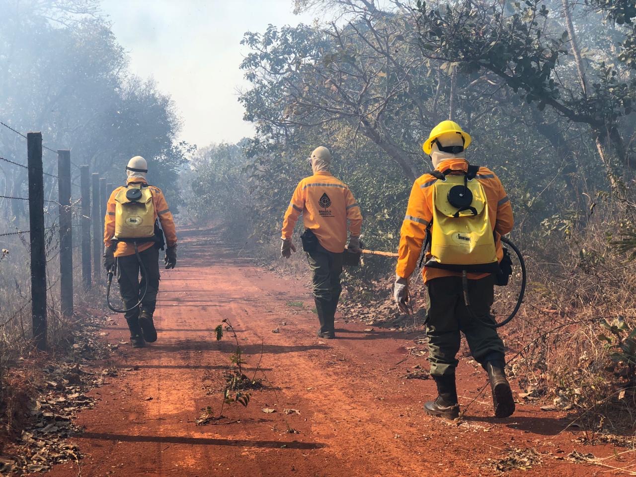 3.4. brigadistas. foto divulgacao brasilia ambiental