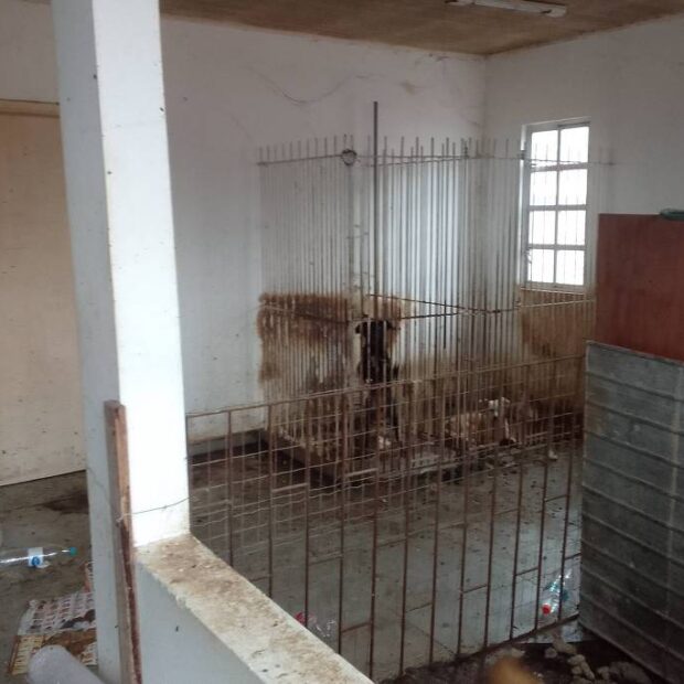 174371982867ef0d948a4f6 1743719828 3x2 lg