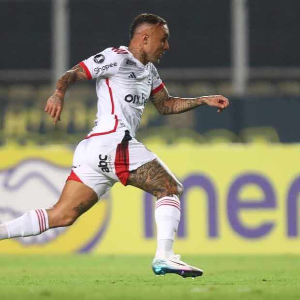 snapins.ai 488549923 1231216381695215 4741010849864331995 n 1080