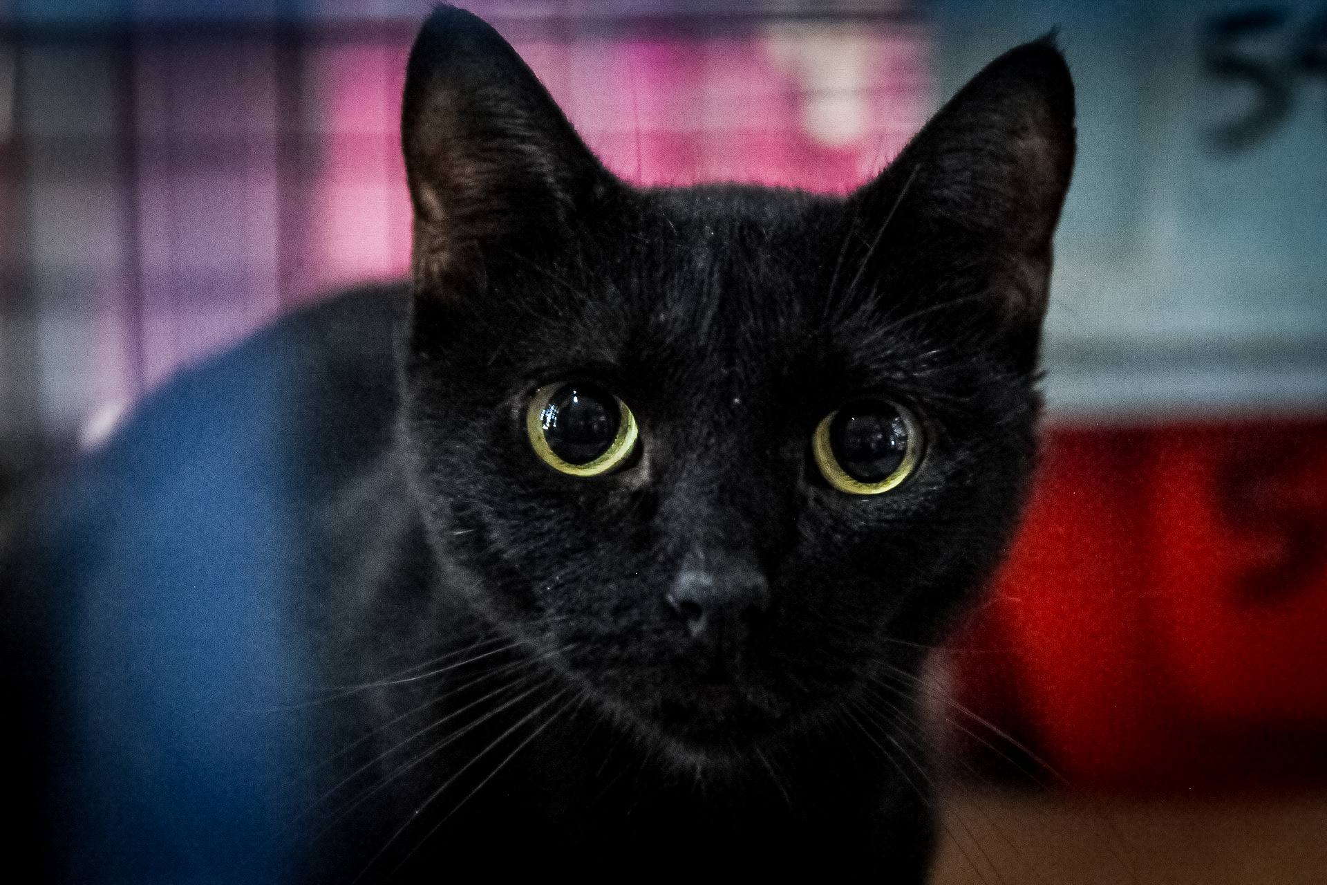 foto geovana albuquerque 1 2