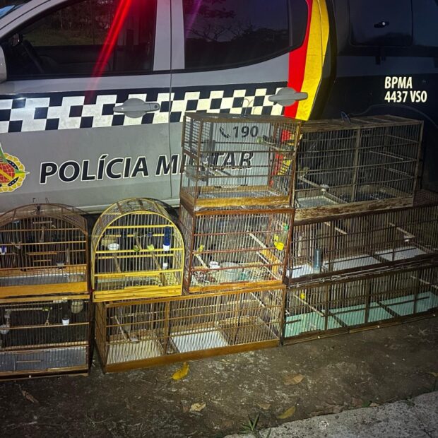 whatsapp image 2025 04 06 at 21.07.12 (1)