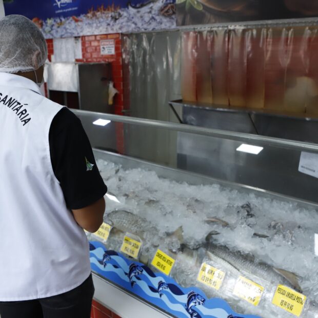 vigilancia sanitaria