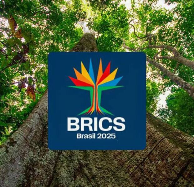 brics brasil