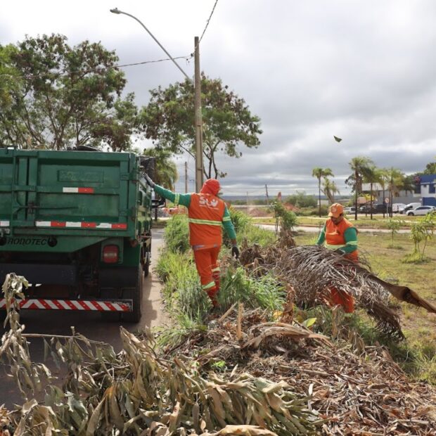 whatsapp image 2025 04 09 at 11.58.45