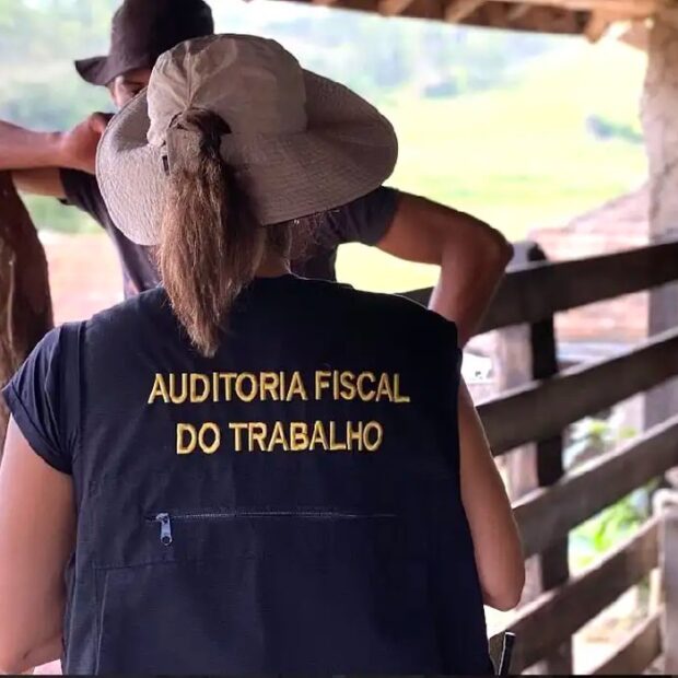 auditoria fiscal do trabalho