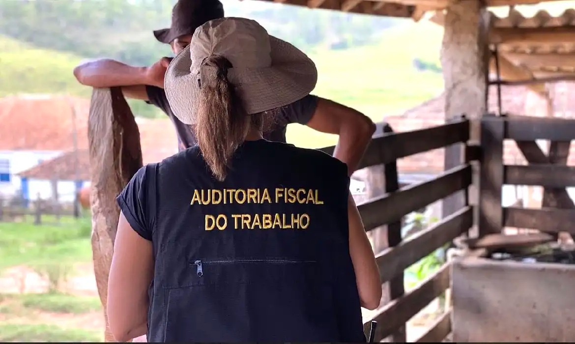 auditoria fiscal do trabalho