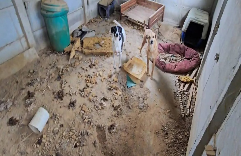 captura de tela 2025 04 10 081619