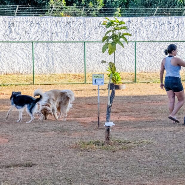 foto arquivo agencia brasilia 2 1 2048x1360 1 1920x1275