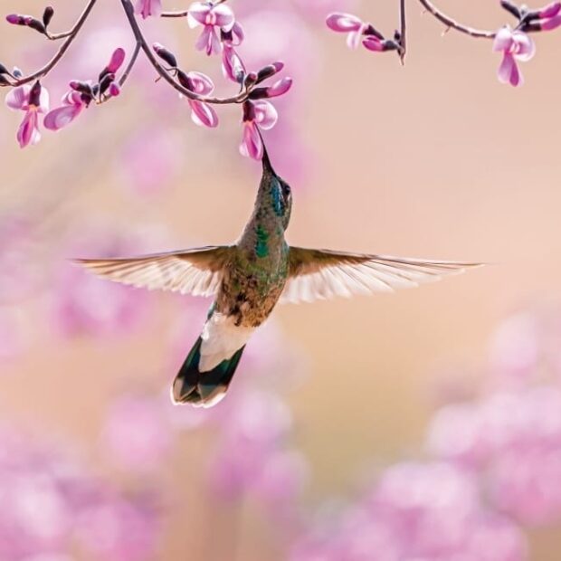 a678da18 7e0c 4587 9648 82afe8e9dfc6