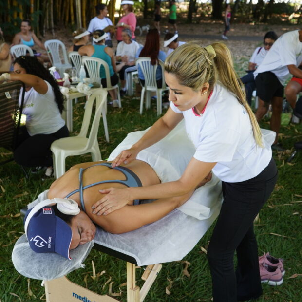 11.4. materia seac df2