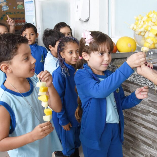 foto capa introducao manga e teste mel 1920x1280