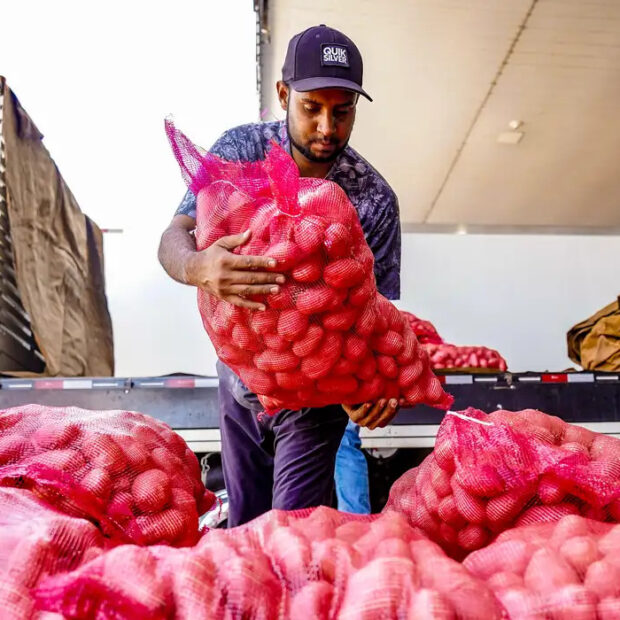 produtos e alimentos