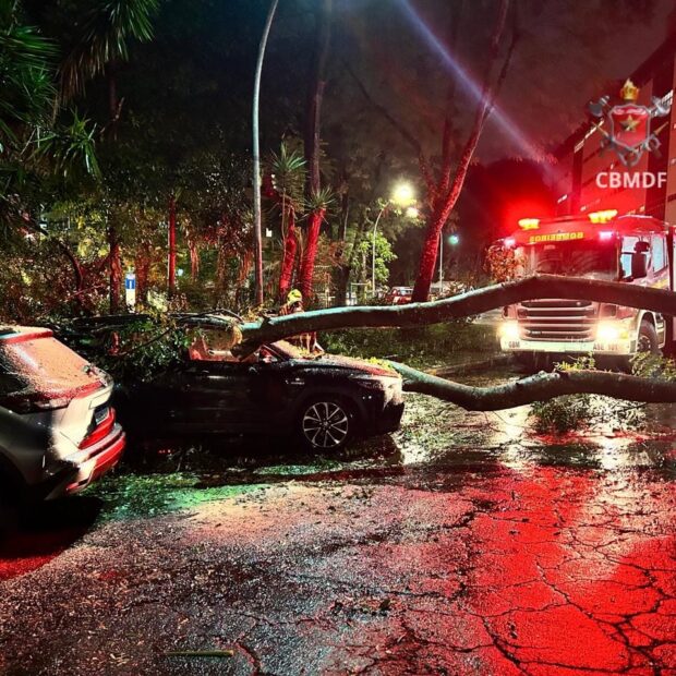 imagem do whatsapp de 2025 04 14 à(s) 21.12.08 2ece39bf