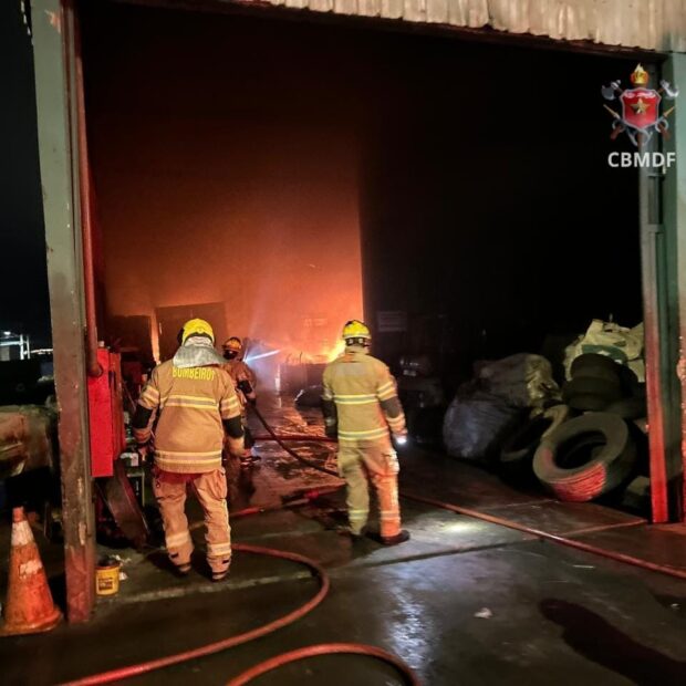 whatsapp image 2025 04 15 at 00.44.31