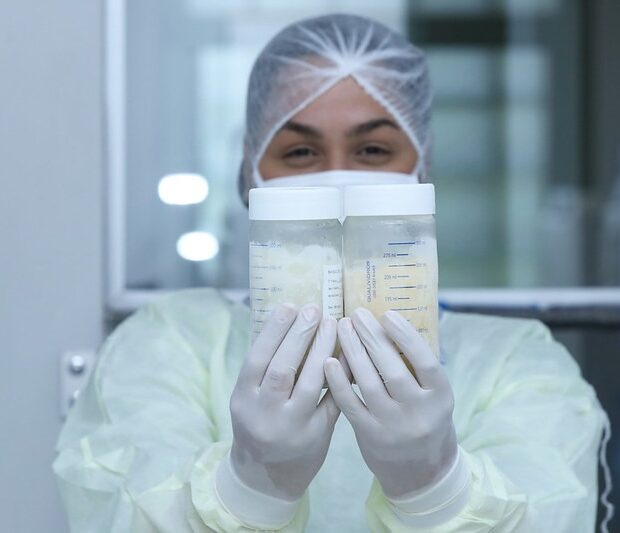 whatsapp image 2025 04 15 at 08.42.30